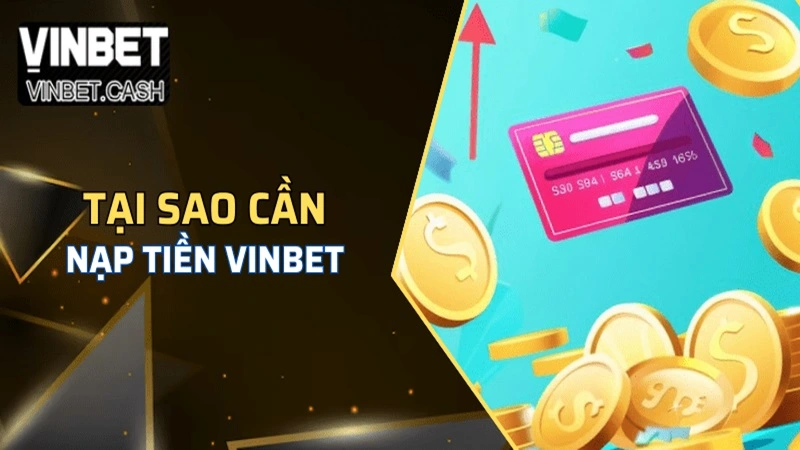 Ví Momo hiện nay được sử dụng phổ biến 